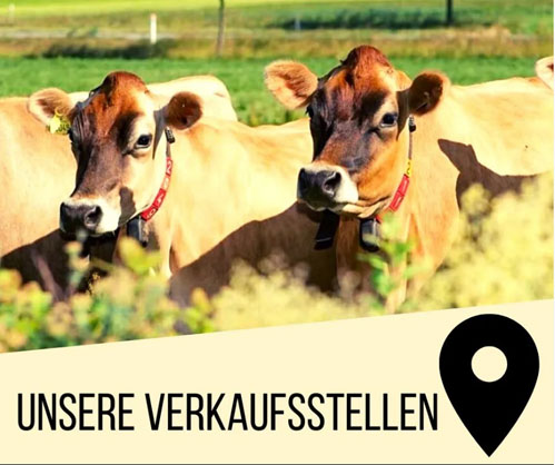 Honest Ice Cream – Sanddorn & neue Sorten