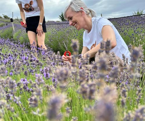 Honest Ice Cream – Sorte/Detail 7